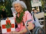 Medical marijuana advocate senior citizen lady in wheelchair