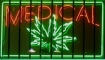 Marijuana leaf