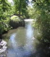 Mill Creek in Salem, Oregon