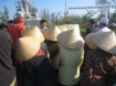Images of My Lai: Chuck Palazzo