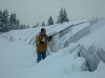 Storm damage to Oregon nurseries '08