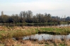 Jackson Bottom Wetlands Preserve 