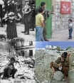 Israel/Nazi photo montages