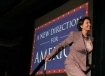 House Speaker Nancy Pelosi