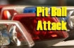 Pit Bulls Attack