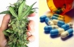 Marijuana vs anti-depressants