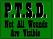 PTSD Not all wounds are visible