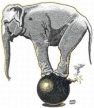 State of the Republican Party by Michael Osbun