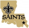 New Orleans Saints Louisiana
