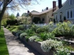 Row of well maintained homes in Salem, Oregon