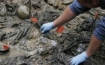 Perusal of mass grave at Srebrenica