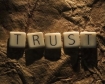 Management teamwork trust