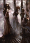 Pilgrims and burning witches