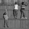 kids on fence