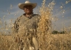 Mexican farming