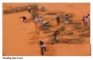 Sand dunes in the Sahel Region, Mauritania