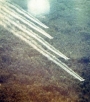 A defoliant spray run is conducted by a UC-123B Provider aircraft as part of Operation Ranch Hand during the Vietnam War. (Photo: USAF)