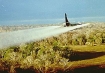 Agent Orange being sprayed in Vietnam.