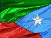 Flag of Balochistan