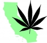 California and marijuana