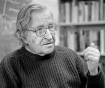 Professor Noam Chomsky