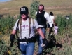 DEA agents
