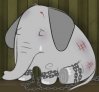 Chained elephant