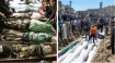 Bodies of children in Gaza killed by Israel during 'Operation Cast Lead' left, dwarfed the number of dead at Houla even when adults are included in the count.