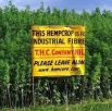 industrial hemp