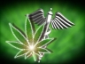 Medical marijuana