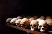 Genocide skulls