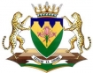 South Africa government logo