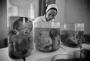 Stillborn babies in Vietnam from Agent Orange
