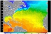 Water temperatures in the Gulf of Mexico are running above normal for this time of year.