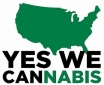 medical cannabis in America