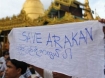 Save Arakan