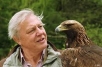 Sir David Attenborough. 