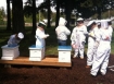 Prison beekeeping