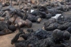 Congolese victims of shipping accident and fire