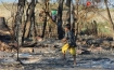 A young boy looks through burnt remains of a house in Pauktaw Township, Arakan State. (Photo: JPaing / The Irrawaddy)