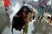 LIttle Rohingya girl in Burma