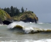 Cape Disappointment 