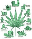 Hemp for all uses