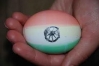 India Easter