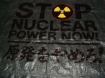 Puget Sound anti-nuke