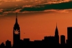 New York marijuana