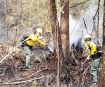 Santiam Fire