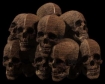 skulls