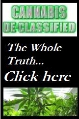 Special Section: Truth telling news about marijuana related issues and events.