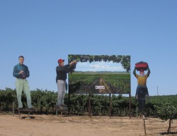 immigration agriculture signage